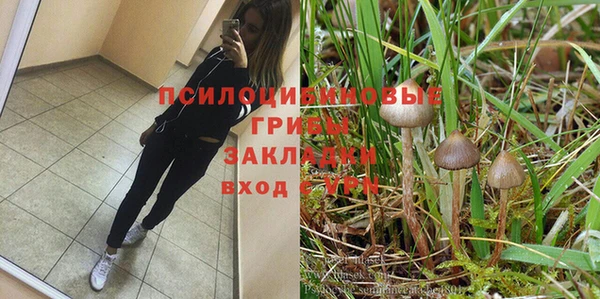 spice Вяземский